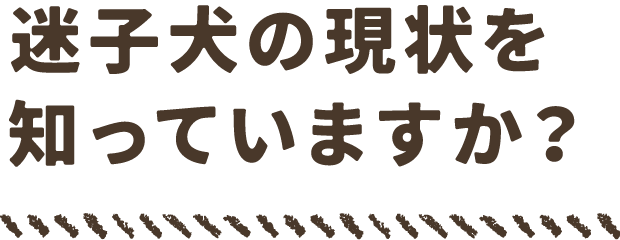迷子犬の現状を知っていますか