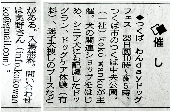 20250911_朝日新聞茨城版(県内催事枠)