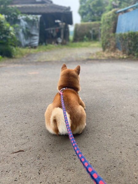 profile-hi_01
