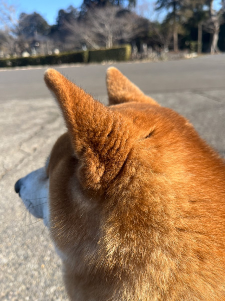 profile-hi_02