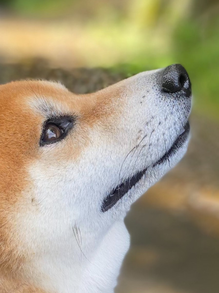 profile-hi_04
