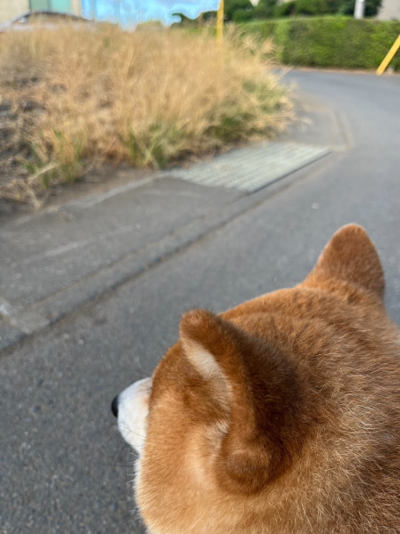 profile-hi_06