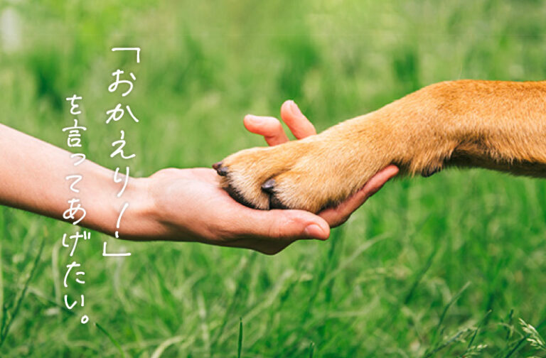koko wankoの活動について イメージ画像