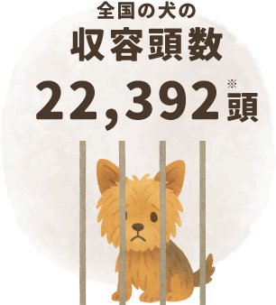 全国の犬の収容頭数 122,392頭 (※)