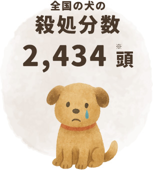 全国の犬の殺処分数 2,434頭 (※)